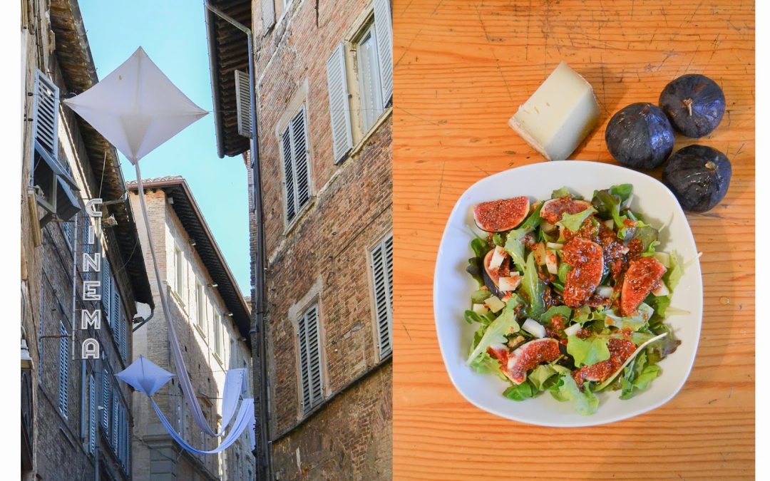 Addio Urbino und San Marino und herzlich willkommen leckerer Feigen-Pecorino-Salat…